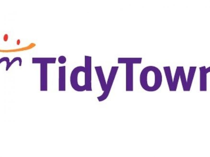 Tidy Towns judges 'mindful' second-chance assessments of six towns being done in October