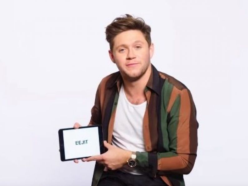 Watch as Niall Horan explains the words 'sham', 'banjaxed' and 'gammy'