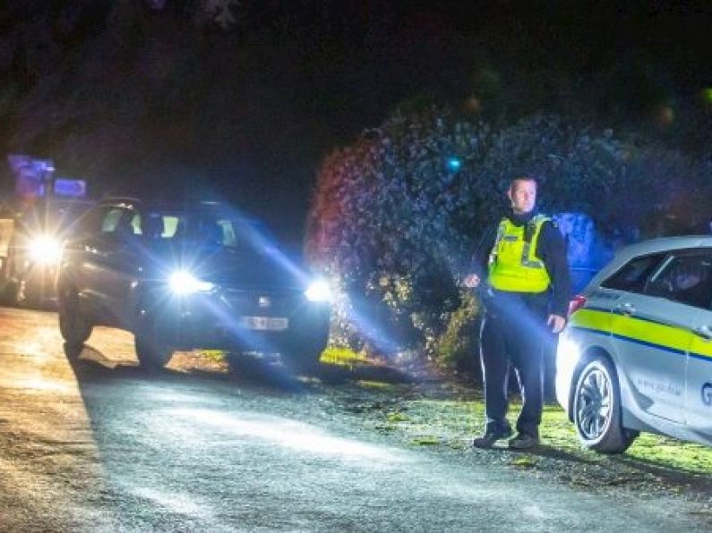Gardaí investigate after two men die in light-plane crash in Wexford