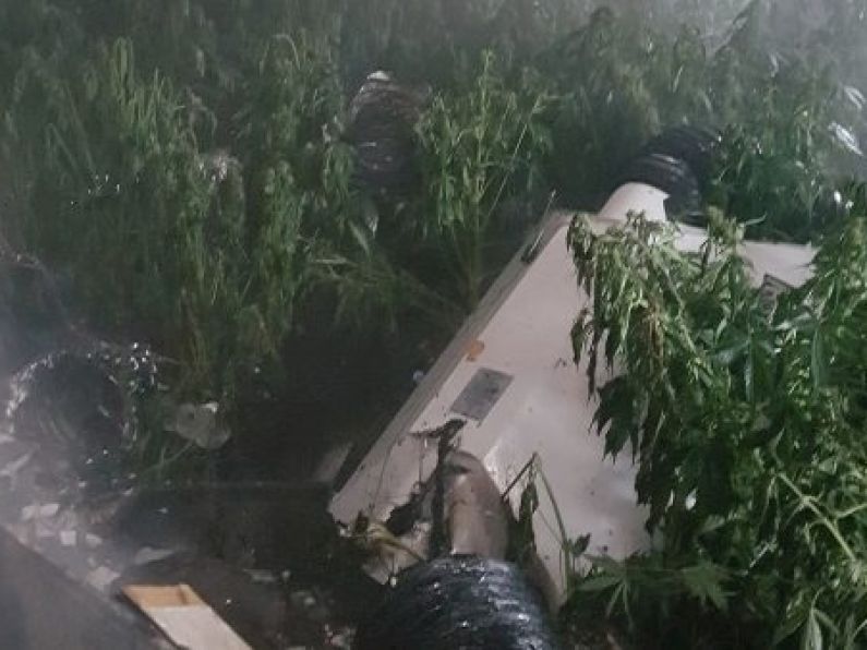 Suspected cannabis grow house discovered after fire at Tipperary house