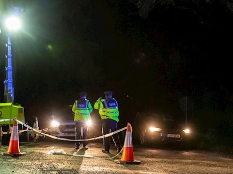 Witnesses said 'plane disintegrated in the air': Report into fatal Wexford plane crash