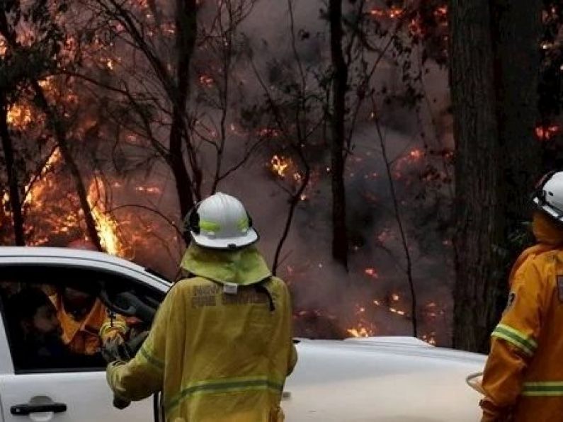 Sydney fireworks display to go ahead amid wildfires risk