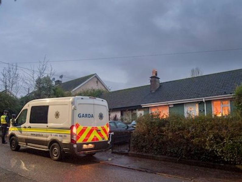Gardaí make arrest after boy, 10, and two women stabbed in burglary