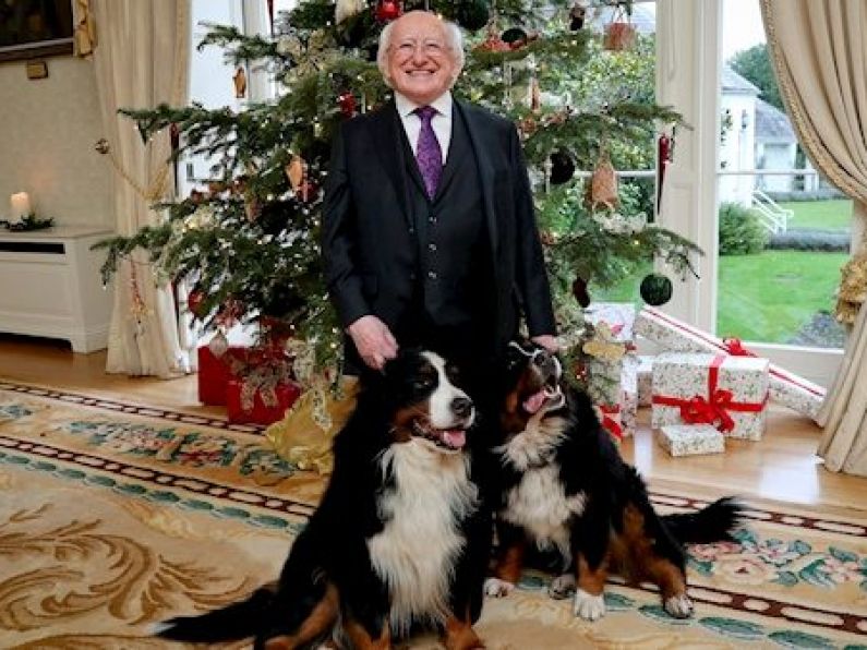 'Do we dismiss them from our door' - President calls for people to show best of 'Irishness' in 2020