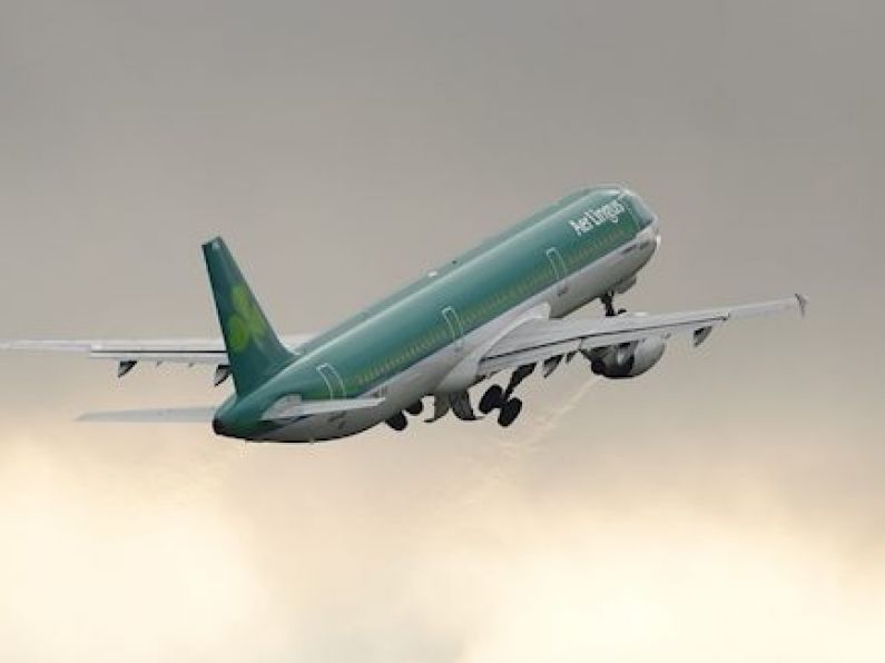 Aer Lingus coronavirus mercy flight returns to Dublin following bird-strike on take-off