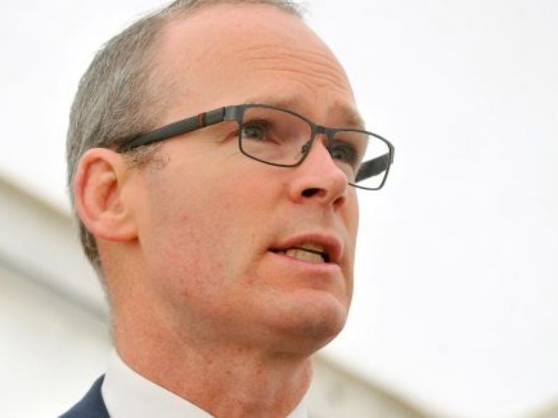 'We want to ensure people get back safely': Coveney advises on travel restrictions