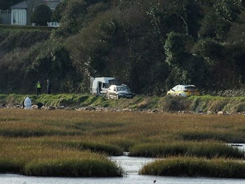 Man's body found in Co. Louth