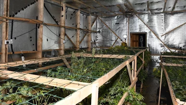 Gardaí seize €400k of cannabis in grow house