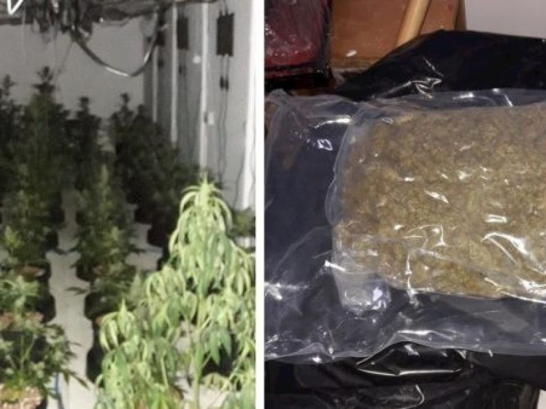 Man arrested as gardaí seize €100k worth of cannabis in Co Monaghan