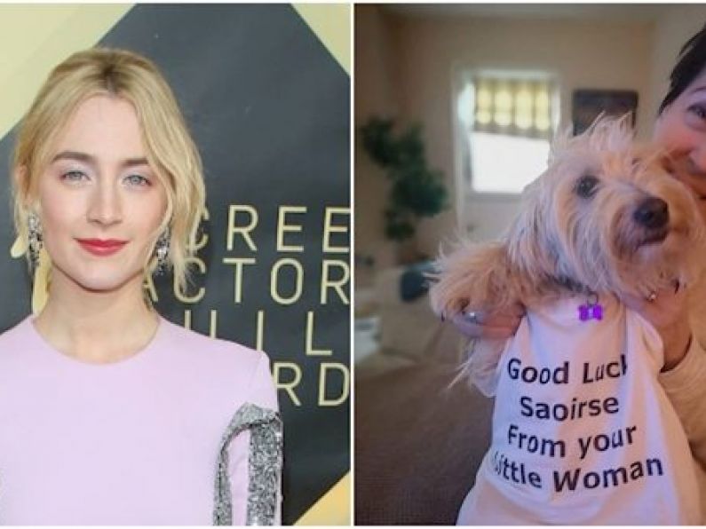 Watch: Saoirse Ronan's mam and dog adorably celebrate her fourth Oscar nomination