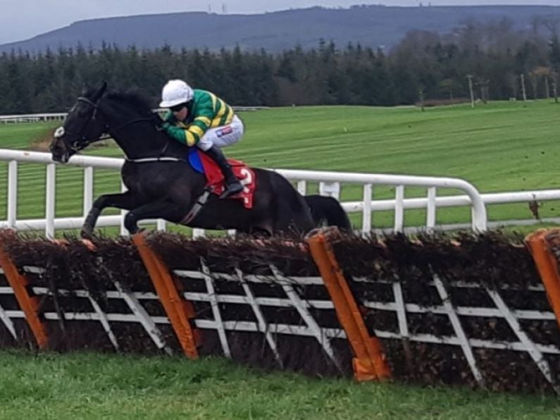 Four Gold Cup entries in Gowan Park feature