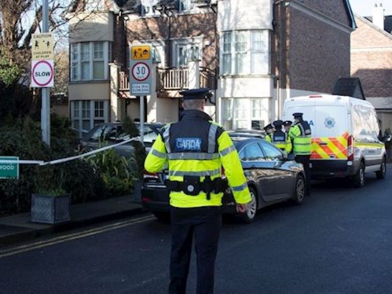 Woman still being questioned after man stabbed to death in Dublin