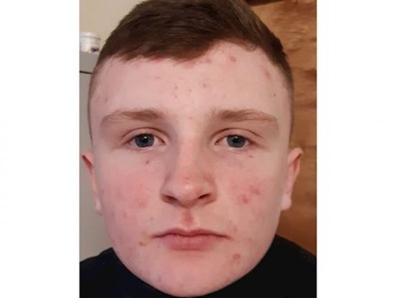 Gardaí appeal for help to find missing teenager