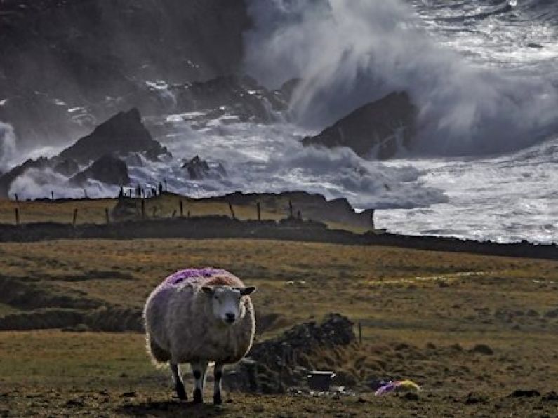8 stormy pictures as Dennis the Menace blows through Ireland