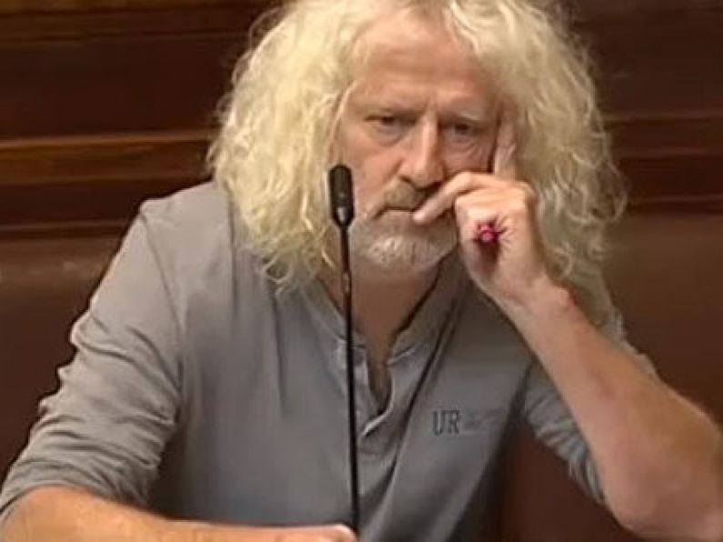 Mick Wallace reprimanded for calling Venezuelan opposition leader an 'unelected gob*****'