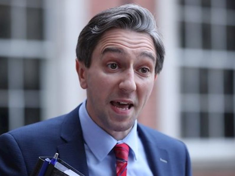 Simon Harris says it is 'vital' for the South East to have a university