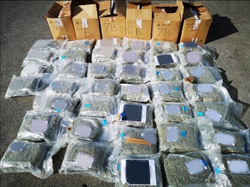 Carlow gardaí seize drugs worth €800,000 on M9