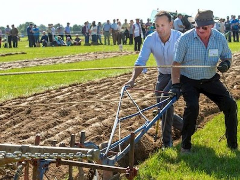OFFICIAL: This year's Ploughing Championships cancelled