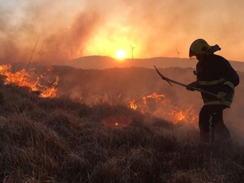 Orange forest fire and yellow wind warnings issued