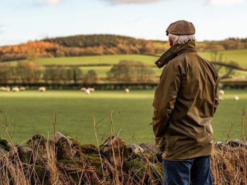 Farmers received up to €123m in social-welfare payments last year