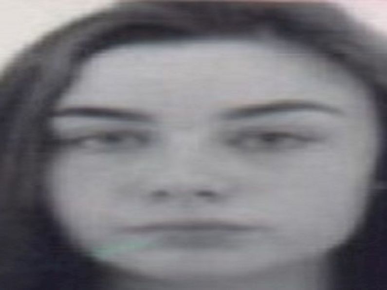 Gardaí appeal for help in finding missing teen