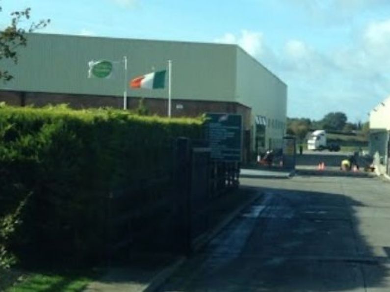 38 confirmed cases of Covid-19 connected to Tipperary meat plant