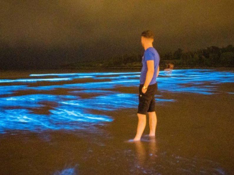 'Feels like once in a lifetime': Photographer captures stunning bioluminescence at Irish beach
