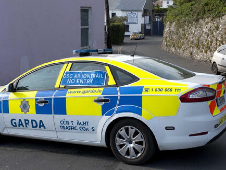 Intoxicated men assault father and son in Kilkenny