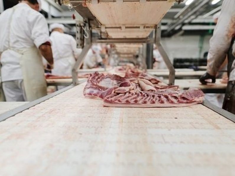 Meat plant outbreaks expose ‘weak points’ of Irish society