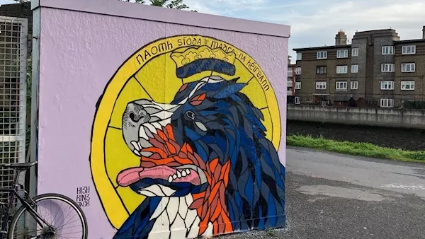 Artist pays tribute to President's dog Síoda with wall mural