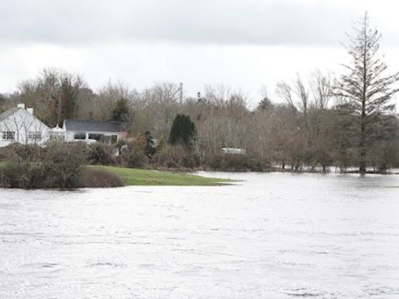 Gardaí launch investigation after body found in River Shannon