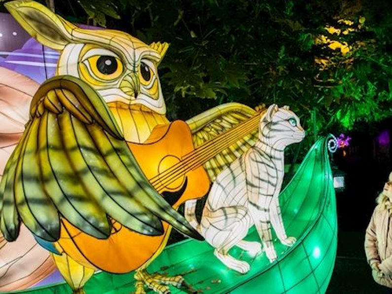 Dublin Zoo cancel annual Wild Lights exhibition