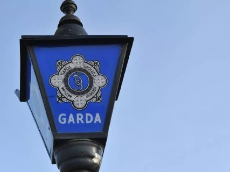 2 people arrested following significant cannabis seizure in Kilkenny