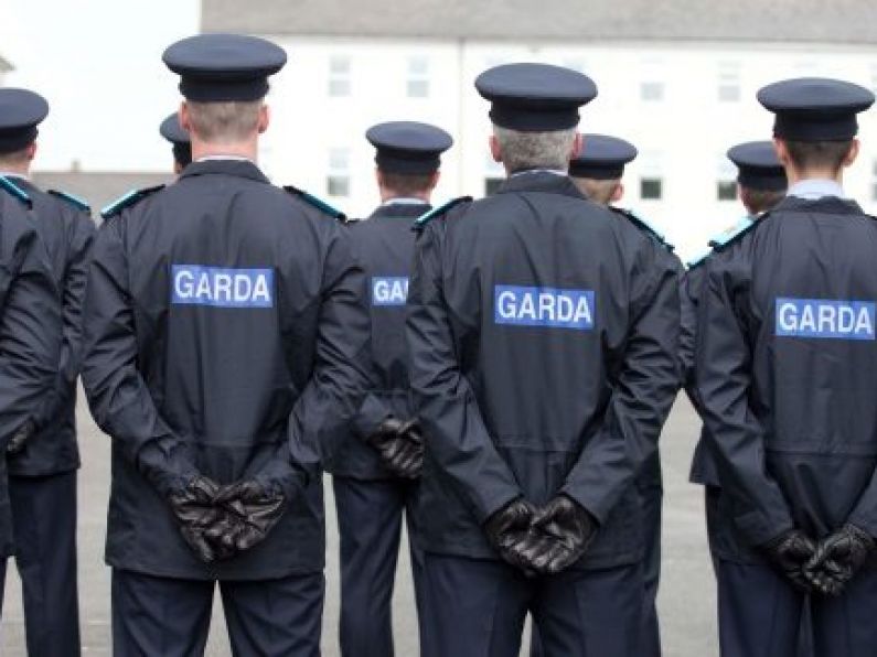 Gardaí arrest two people at Dublin city centre protest