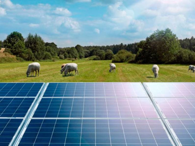 Concerns are growing over the potential size of Solar Farms in Co Waterford