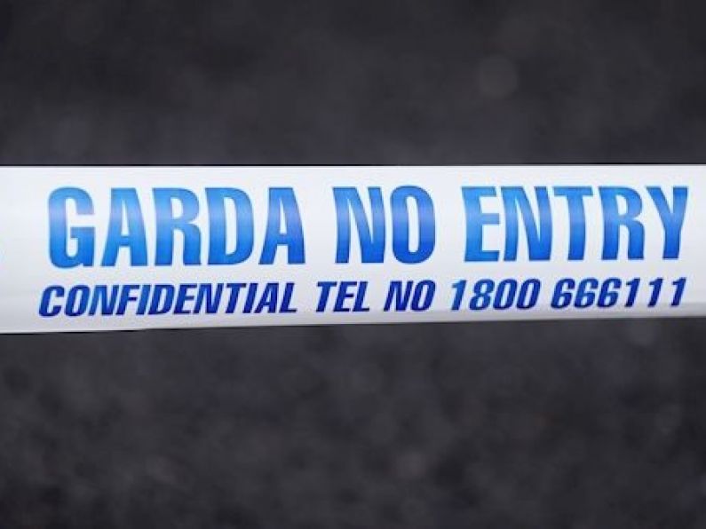 Father alerted by gardaí to death of his partner and baby
