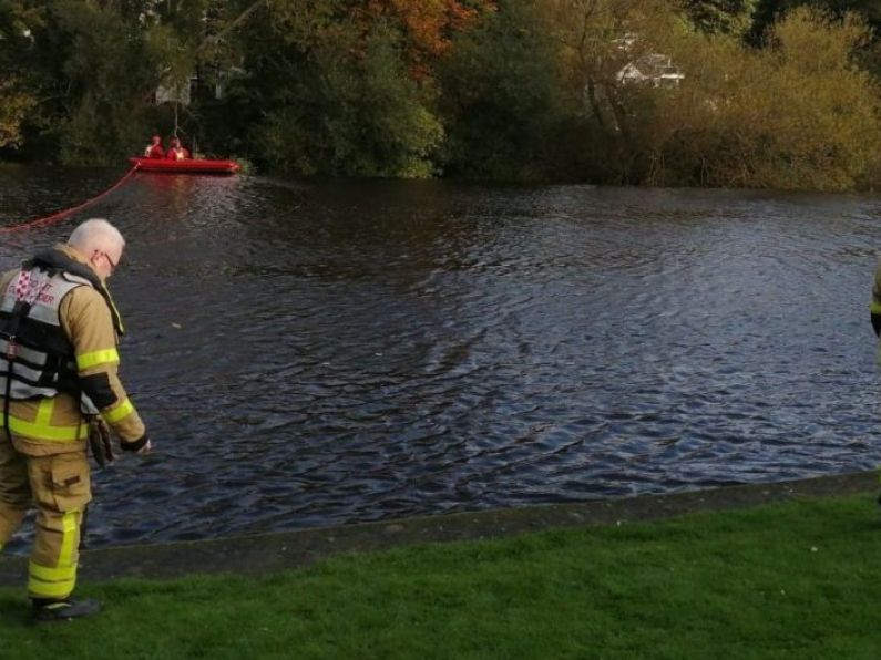 Six people rescued from river by fire brigade