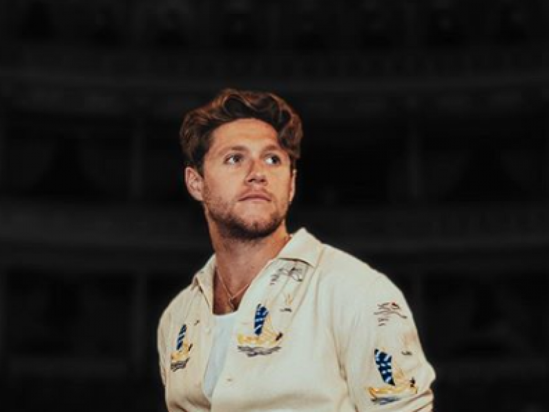 Niall Horan to play a live-stream gig at the Royal Albert Hall!