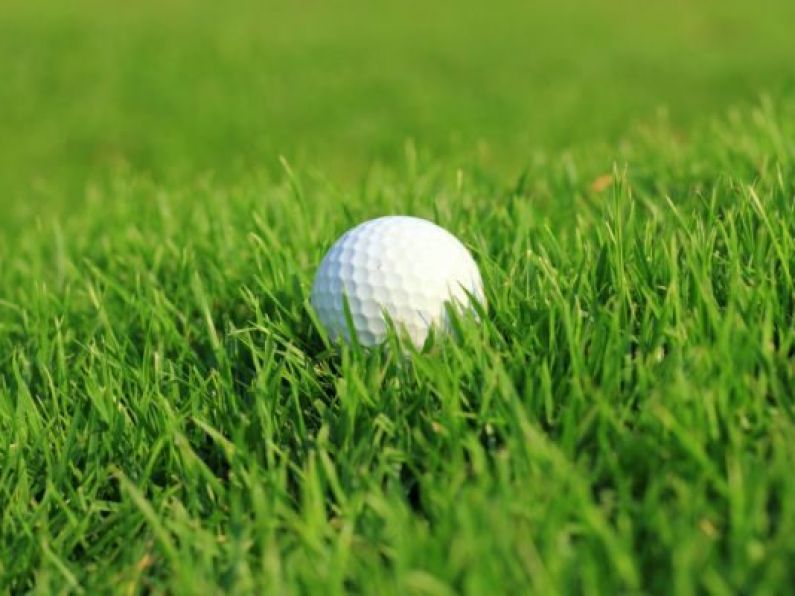 Spectator hit by golf ball during tournament sues golfer and club