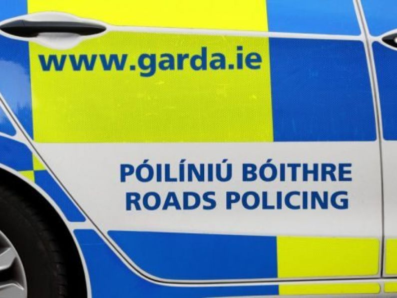 €30,000 worth of cocaine seized by gardaí in Wicklow