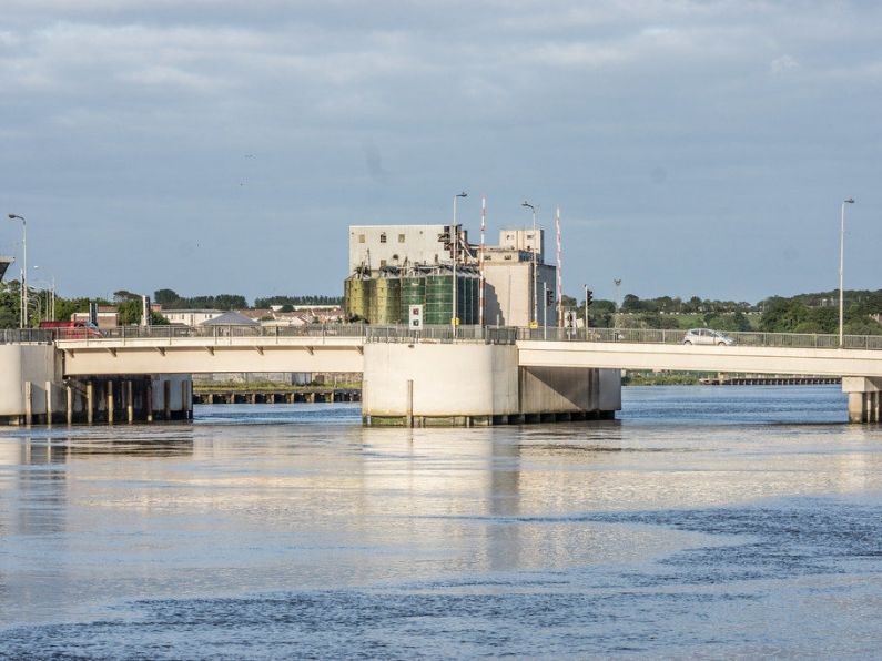 Waterford City River Rescue reminds people about acting fast following incident at Rice Bridge