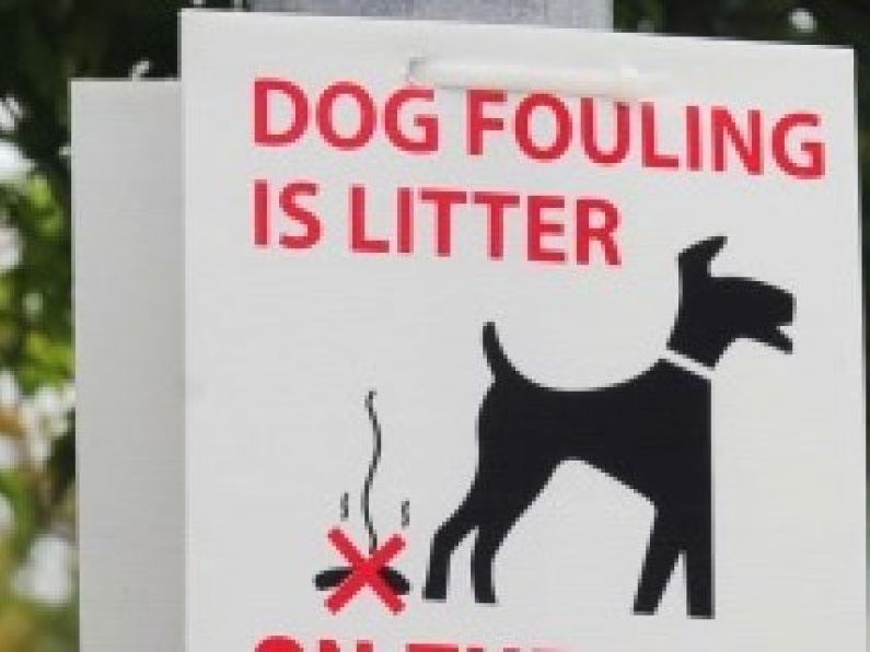 Carlow dog fouling offender receives fine following sting operation