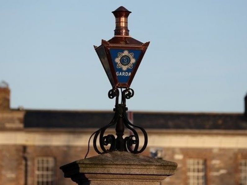 Kilkenny Gardaí issue appeals over criminal damage