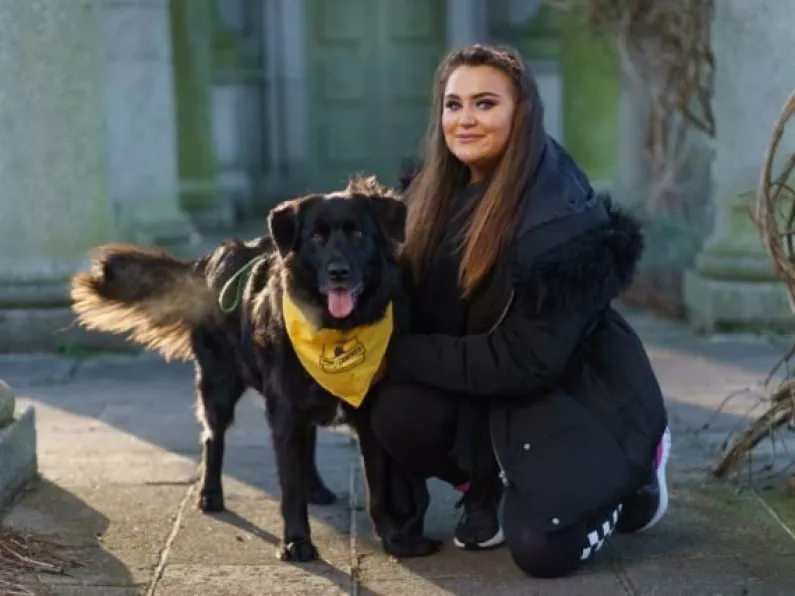 Woman with rare brain injury inspired by adopted dog's caring nature