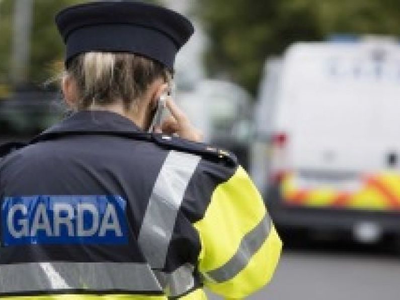 Gardaí in Carlow and Kilkenny are investigating two burglaries and a number of drugs seizures