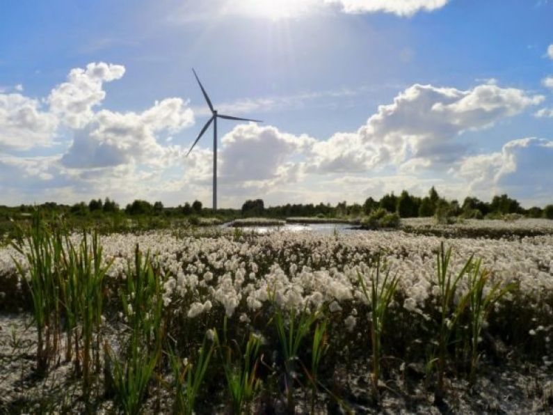 Bord na Móna formally ends all peat harvesting