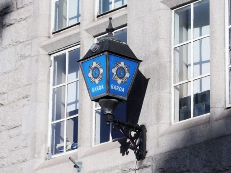 Carlow Gardaí appeal for witnesses to 4 incidents of criminal damage