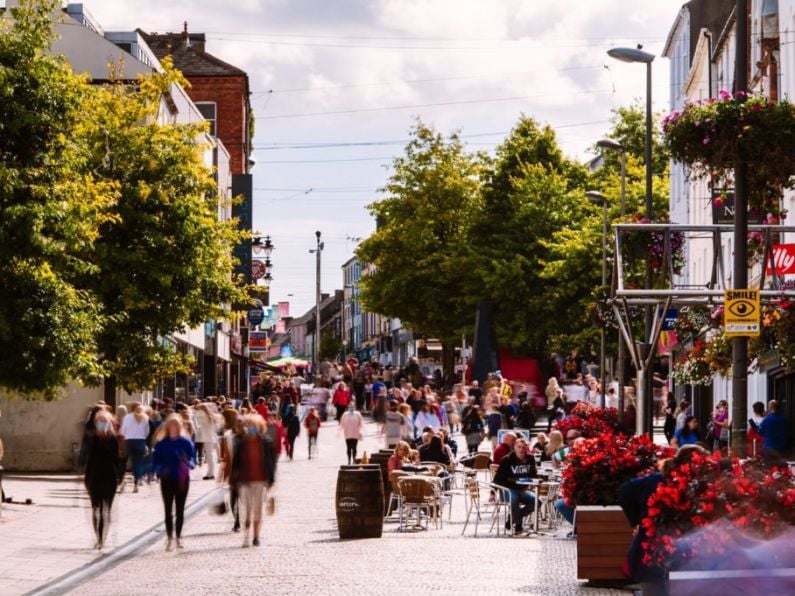 Ambitious carbon neutral plan unveiled for Waterford