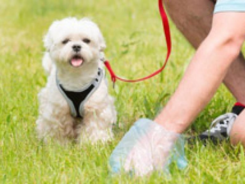 Warning messages from loudspeakers at dog poo black spots