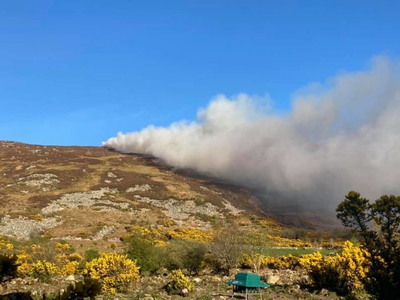 Fire crews from Carlow battled another gorse fire overnight